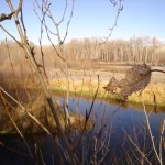 River Channel 112511