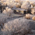 Frozen Fog