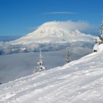 Mt Rainier