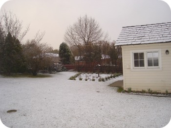 Spring