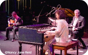 Hashimoto Trio