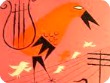 Bird cover