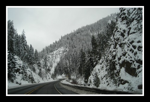 Cascade Winter