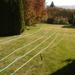 Hoses 1