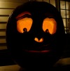 pumpkin 2013