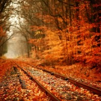 autumn-leaves