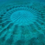 underwater_crop_circle_1