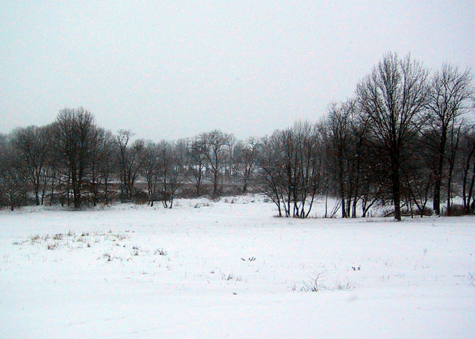 snow for blog 001 smaller.jpg