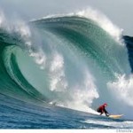 mavericks blog