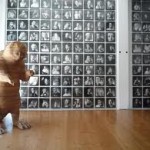 wieden lobby blog