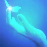 renewal blog