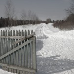 wintergate
