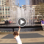fountain blog