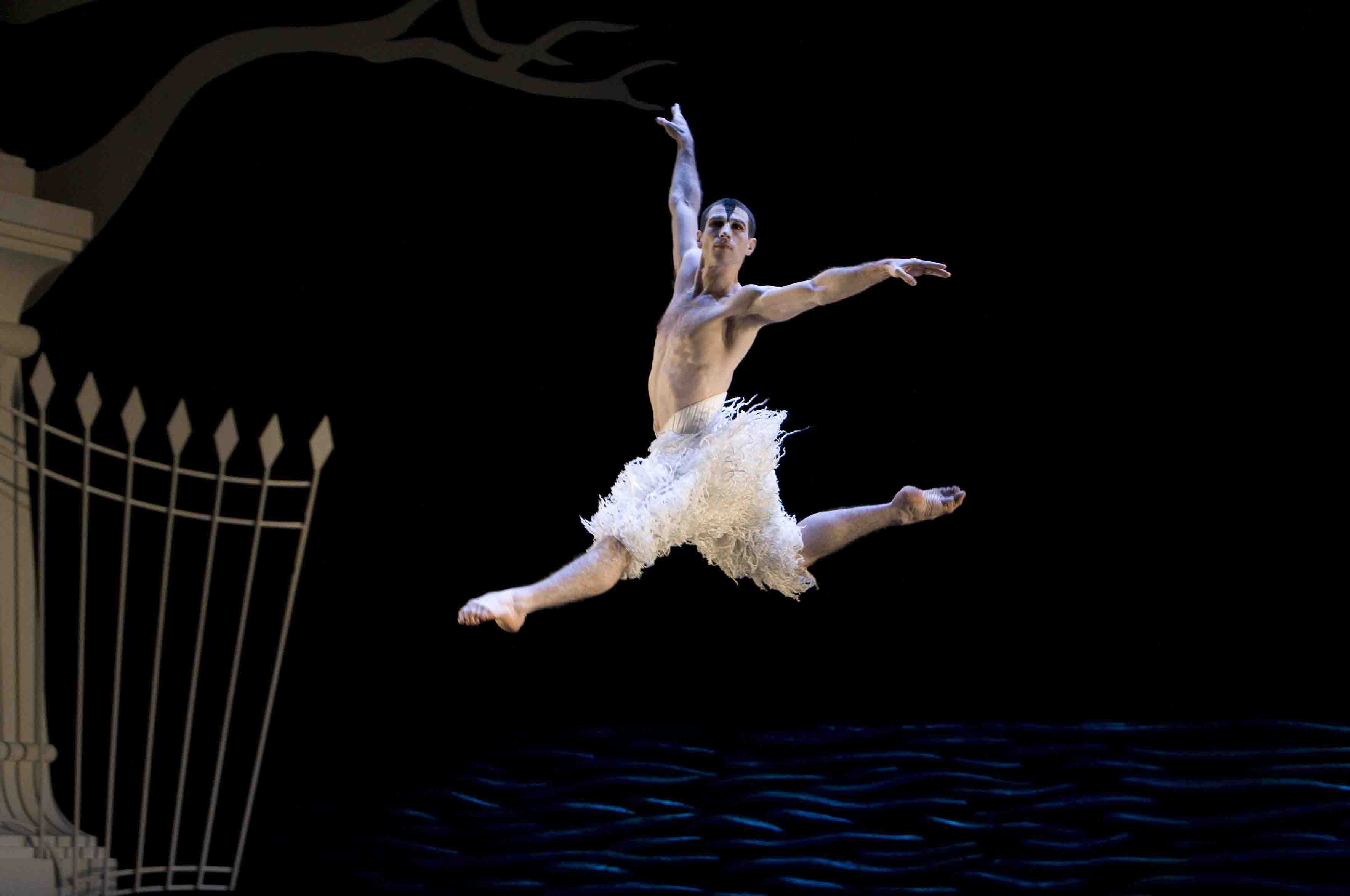 Matthew Bourne's Swan Lake 2rrr cropped.jpg