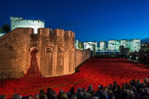 tower-london-poppies copy