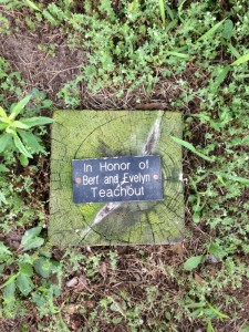 TREE PLAQUE