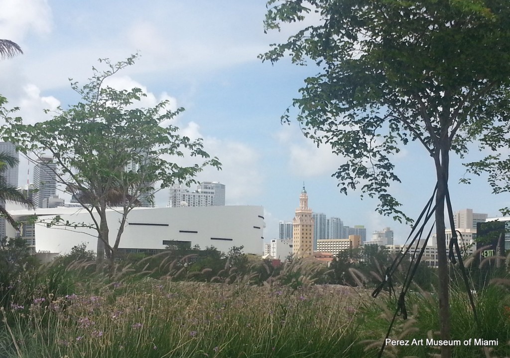 Architectonica's Arena and Freedom Tower