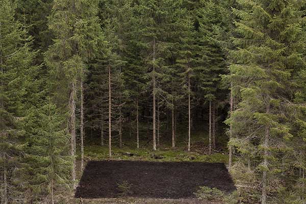 Antti Laitinen engaging nature in Finland