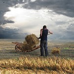 Farmer as Artist