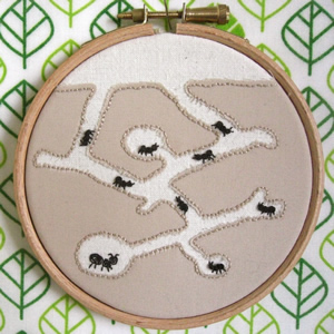 Ant farm