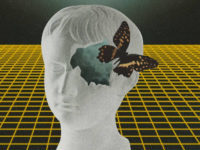 What The Reality Of Cows Has To Inform Humans