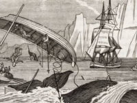 Why Have Sea Shanties Become A TikTok Sensation?