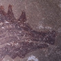45,000-Year-Old Painting, World’s Oldest Non-Abstract Art, Found In Indonesia