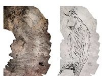 It’s A 17,300-Year-Old Kangaroo: Australia’s Oldest Rock Art Identified