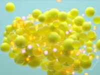 Scientists Are Trying To Determine The Basis Of Beauty