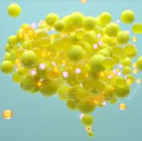 Scientists Are Trying To Determine The Basis Of Beauty