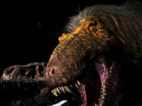 8-Year-Old Complains About NPR’s Lack Of Dinosaur Coverage