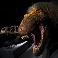 8-Year-Old Complains About NPR’s Lack Of Dinosaur Coverage