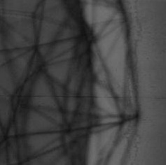 2021.02.11-10_48_46