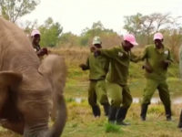 The Latest Dance Craze Sweeping The World