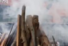 OK, Sure, Disease Is Not A Metaphor, But COVID-19’s Impact Sure Feels Fire-Like