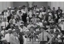 Get Watching: The First Oscars Shortlists Are Out