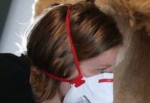 The Secret Life Of Museums During Lockdowns In The UK