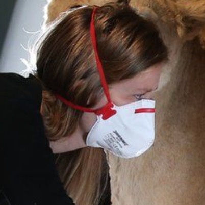 The Secret Life Of Museums During Lockdowns In The UK