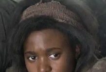 Will Covid-19 Kill The Pandemic Movie?