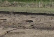 The Problem With Museums