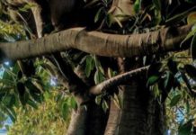 Is There A Way To Change, And Improve, Arts Nonprofits?