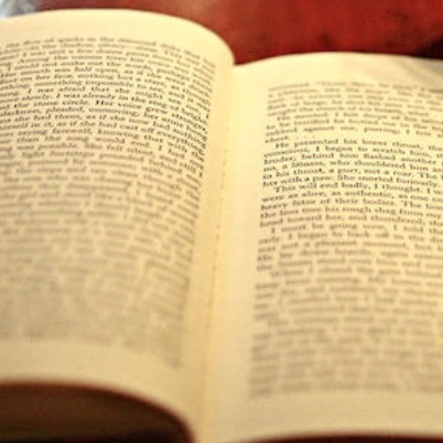 Longing For The Challenges Of The American Booksellers Association