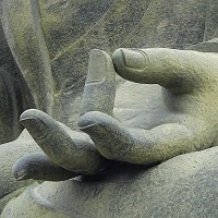 bud