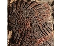 Stunning Aztec Eagle Carving Unearthed In Mexico City