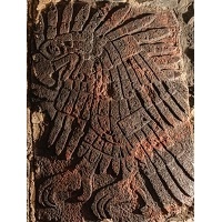 Stunning Aztec Eagle Carving Unearthed In Mexico City