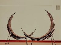 He Invented New Instruments To Express The Soul Of His Troubled Homeland