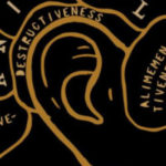 Needed Corrections In Explaining How The Brain Works