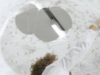 Maybe Human-Centric Design Isn’t The Best Way To Design?