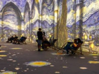Fans File BBB Complaints Over Confusion in Multiple “Immersive” Van Gogh Shows