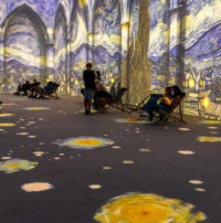 Fans File BBB Complaints Over Confusion in Multiple “Immersive” Van Gogh Shows